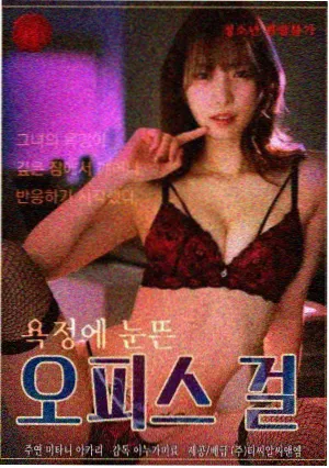 甄嬛传经典电视剧海报